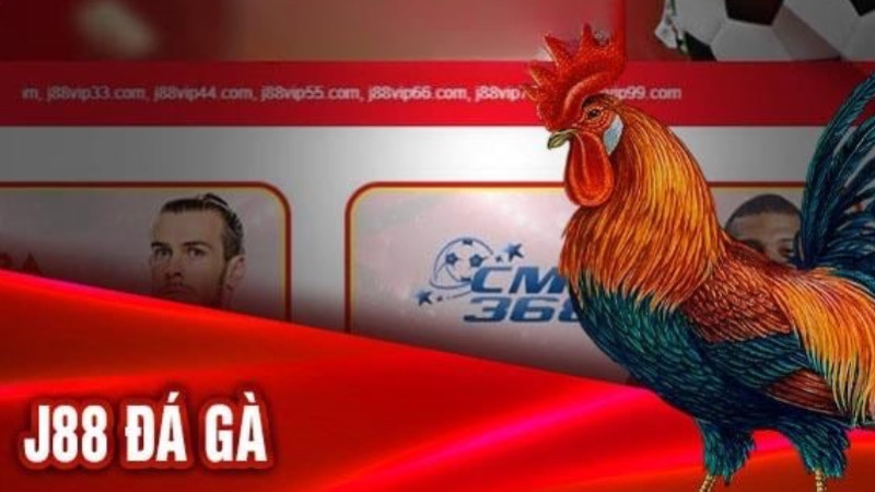 Ưu điểm vượt trội khi J88 đá gà 